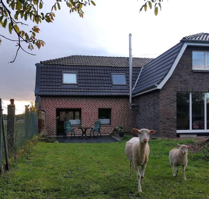 Nibo Hof - Ruhig Und Verkehrsguenstig Goch Exterior foto